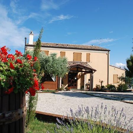 Briciola Di Sole Guest House Grottammare Eksteriør bilde