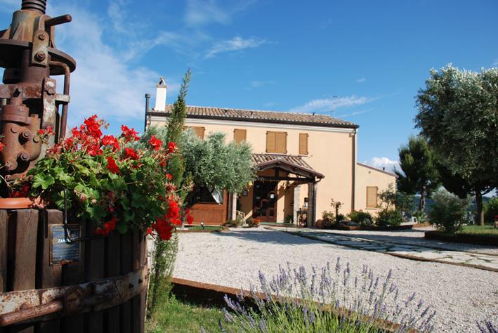 Briciola Di Sole Guest House Grottammare Eksteriør bilde